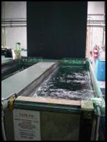 Boric Sulfuric Acid Anodize per BAC5632