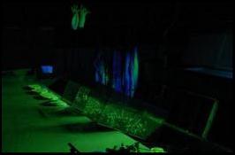 NDT Inspection